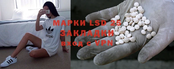 шишки Балахна