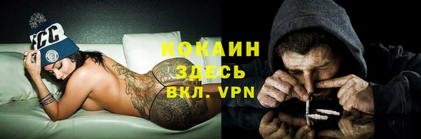 шишки Балахна