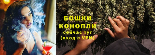шишки Балахна