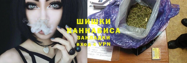 шишки Балахна