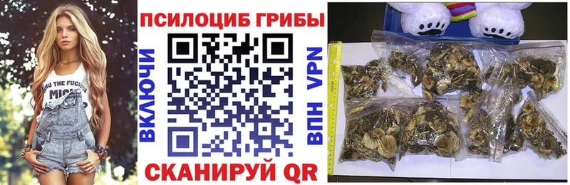 hydra зеркало  Лермонтов  Галлюциногенные грибы ЛСД  купить  